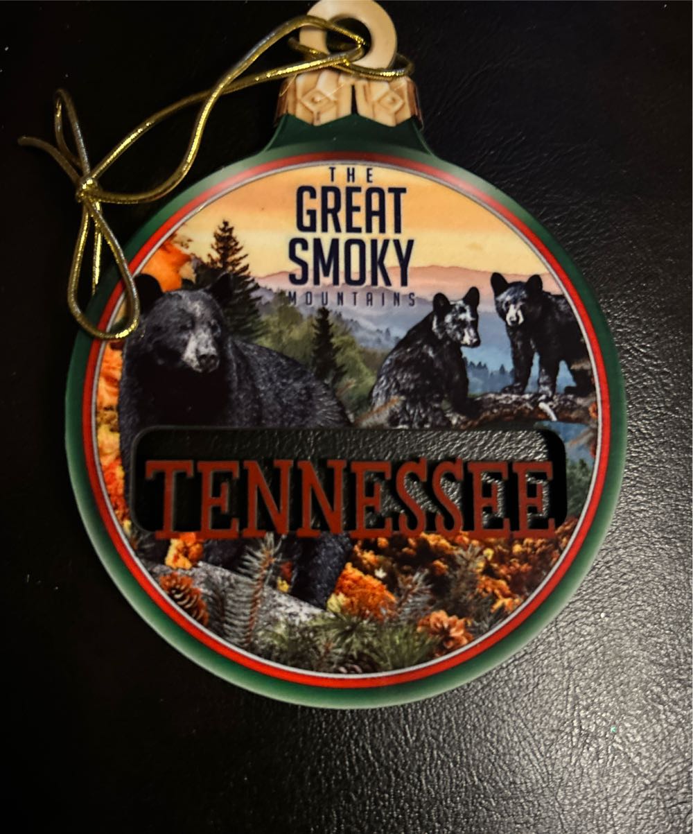 2017 Beauty of Birds #13 Mountain Bluebird