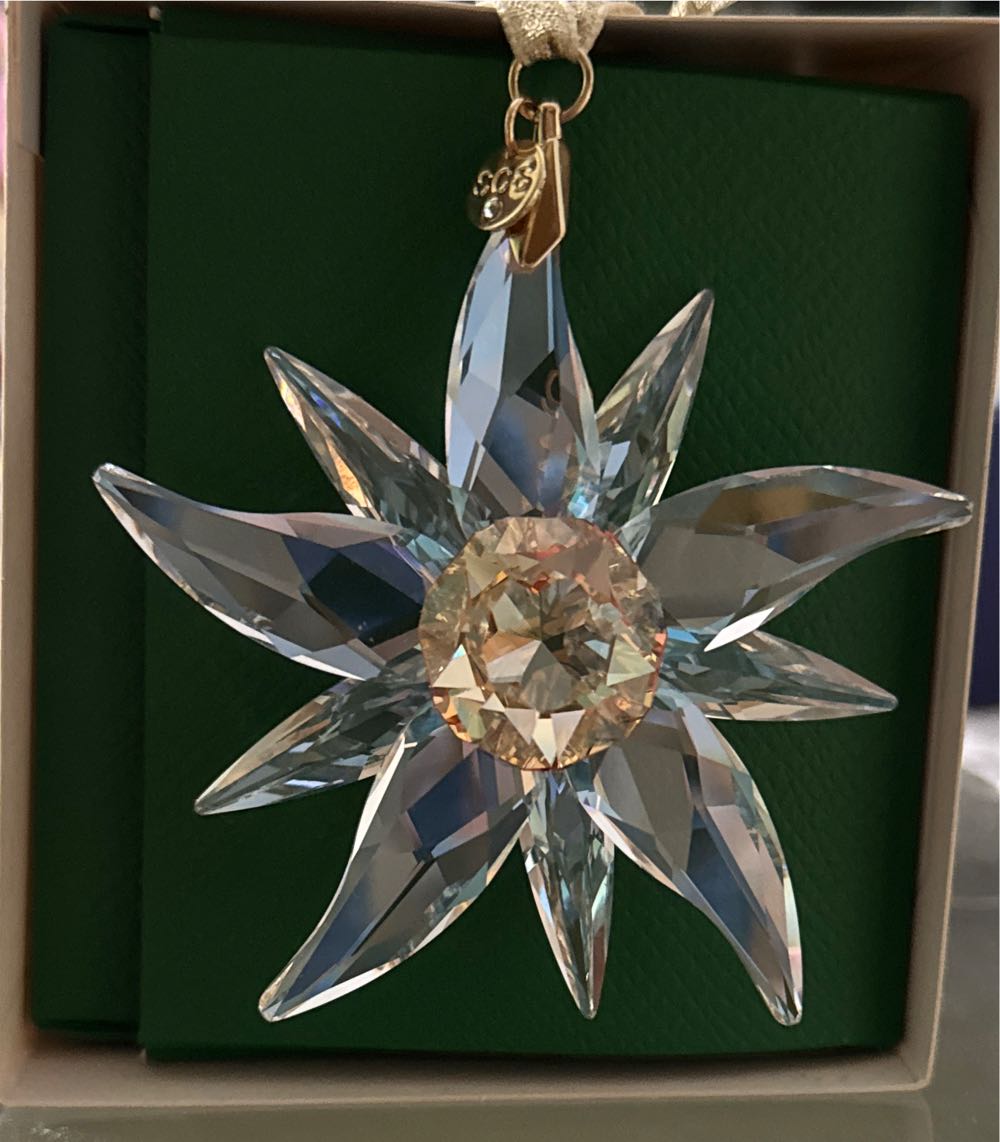 Santa in Space Capsule