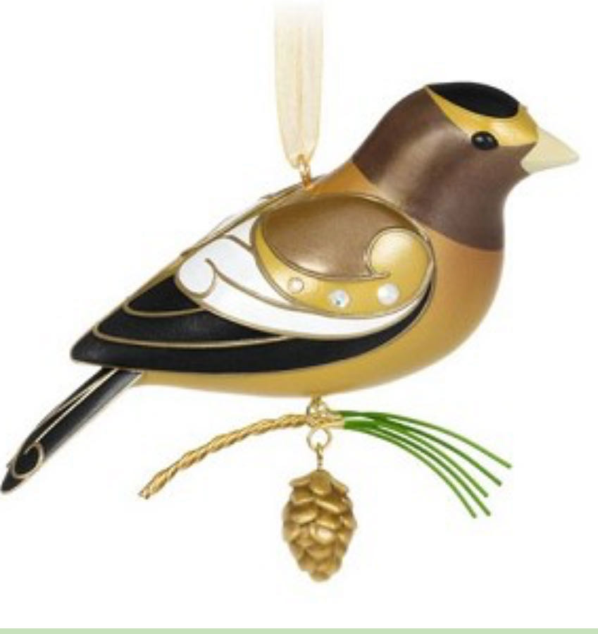 Avatar The Last Airbender Aang Htf Nickelodeon