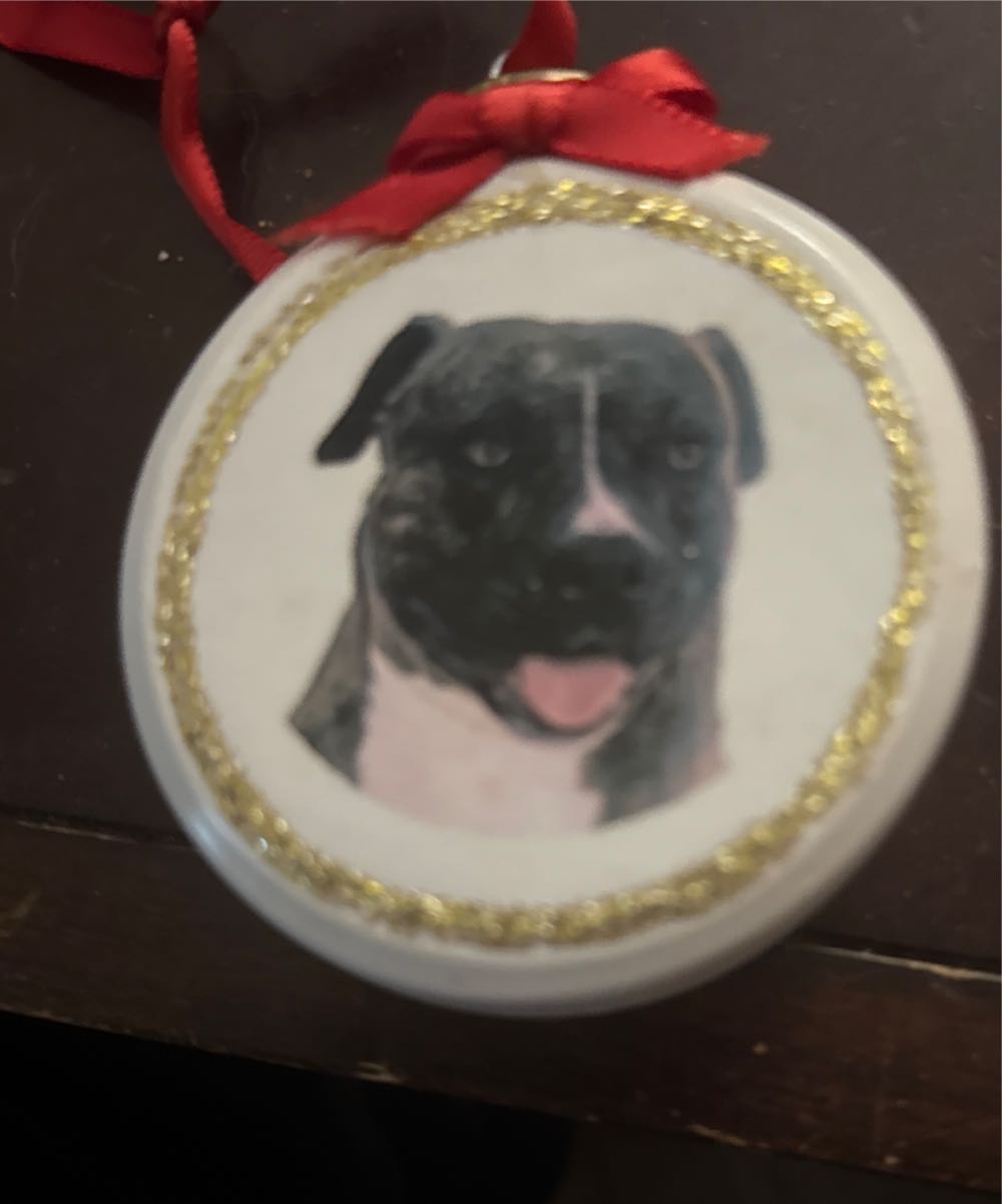 Best Friends Forever Presents