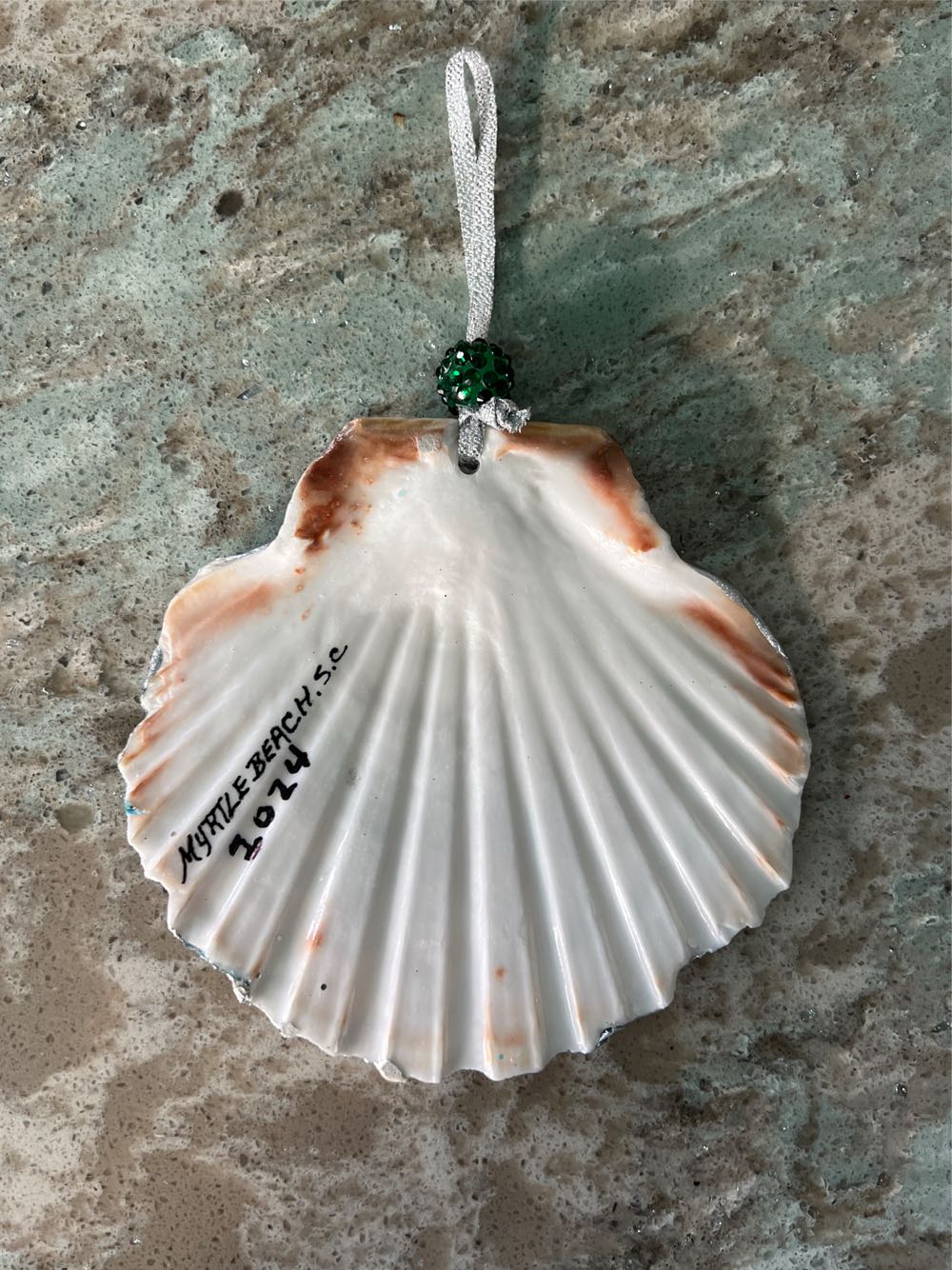 Painted Shell - Aqua Seashells  (Seashell) ornament collectible - Main Image 2