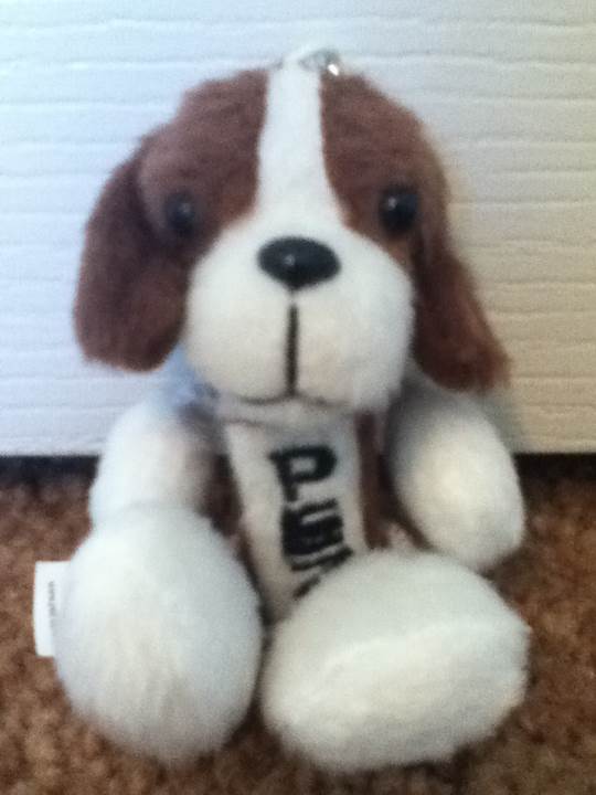 Big Grin Orange Stem