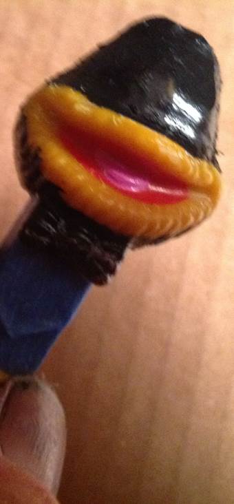 Spongebob: Squarepants