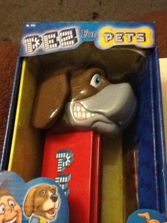 Gloria The Hippopotamus