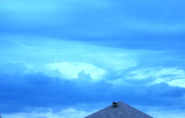 Pete The Cat - Mickey Mouse Clubhouse