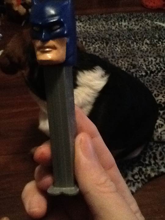 Hippity Hoppities Plush