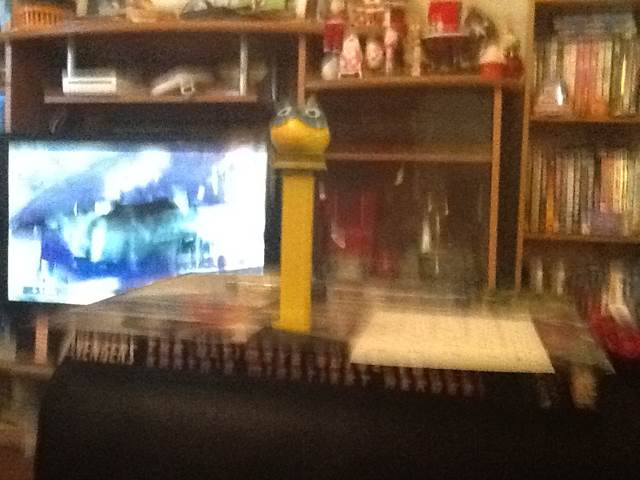 Fuzzy Friends Cat And Dog Series