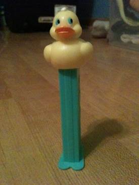 Cats & Dogs - Brown& White Dog