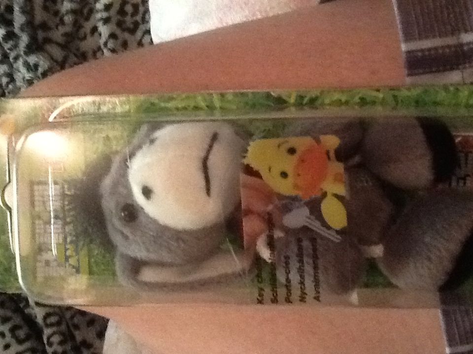 Nascar Helmet/truck #24