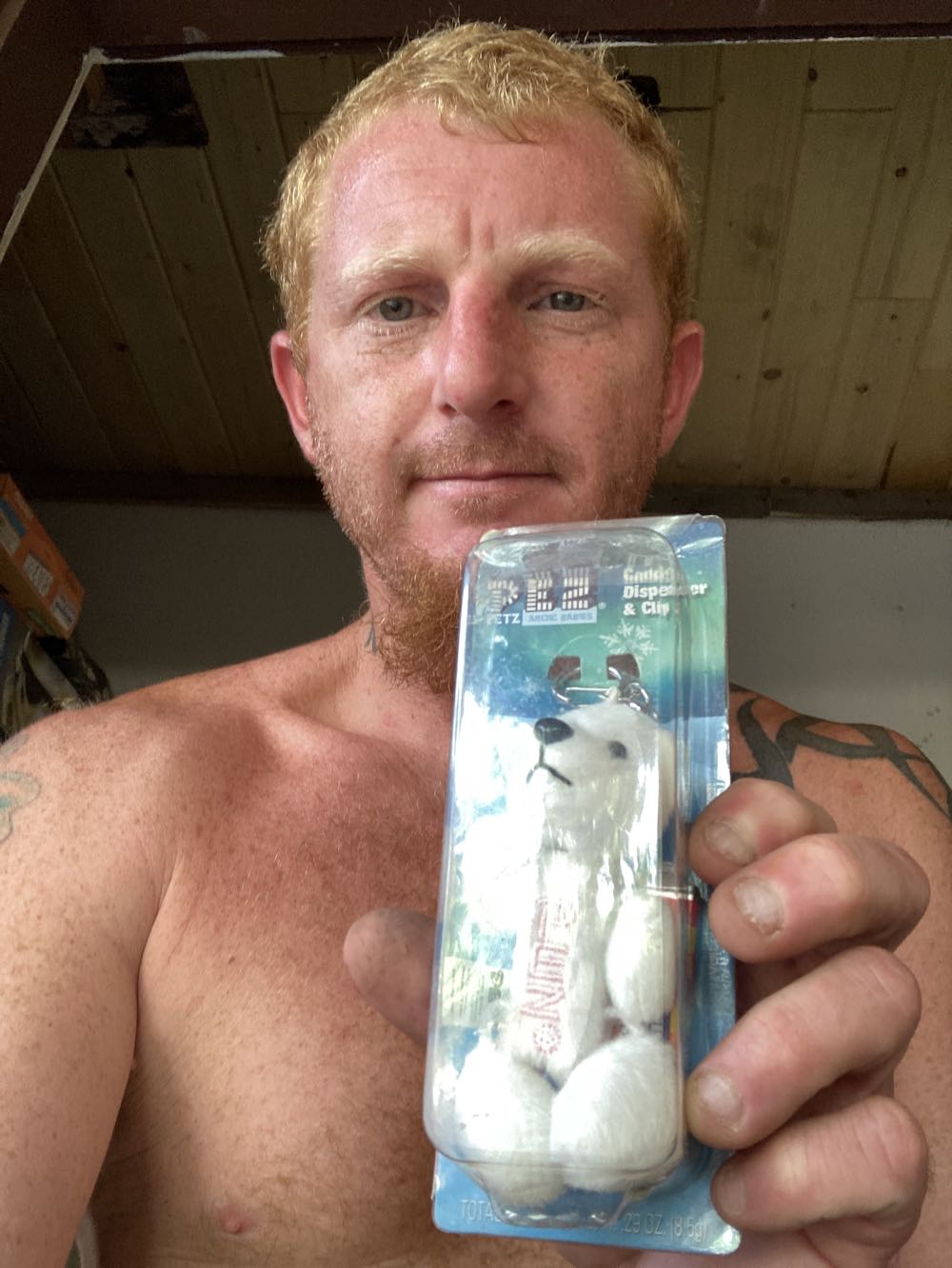 Pez Arctic Babies Candy Dispenser & Clip - Plush - Barnyard babies pez collectible [Barcode 073621009691] - Main Image 2