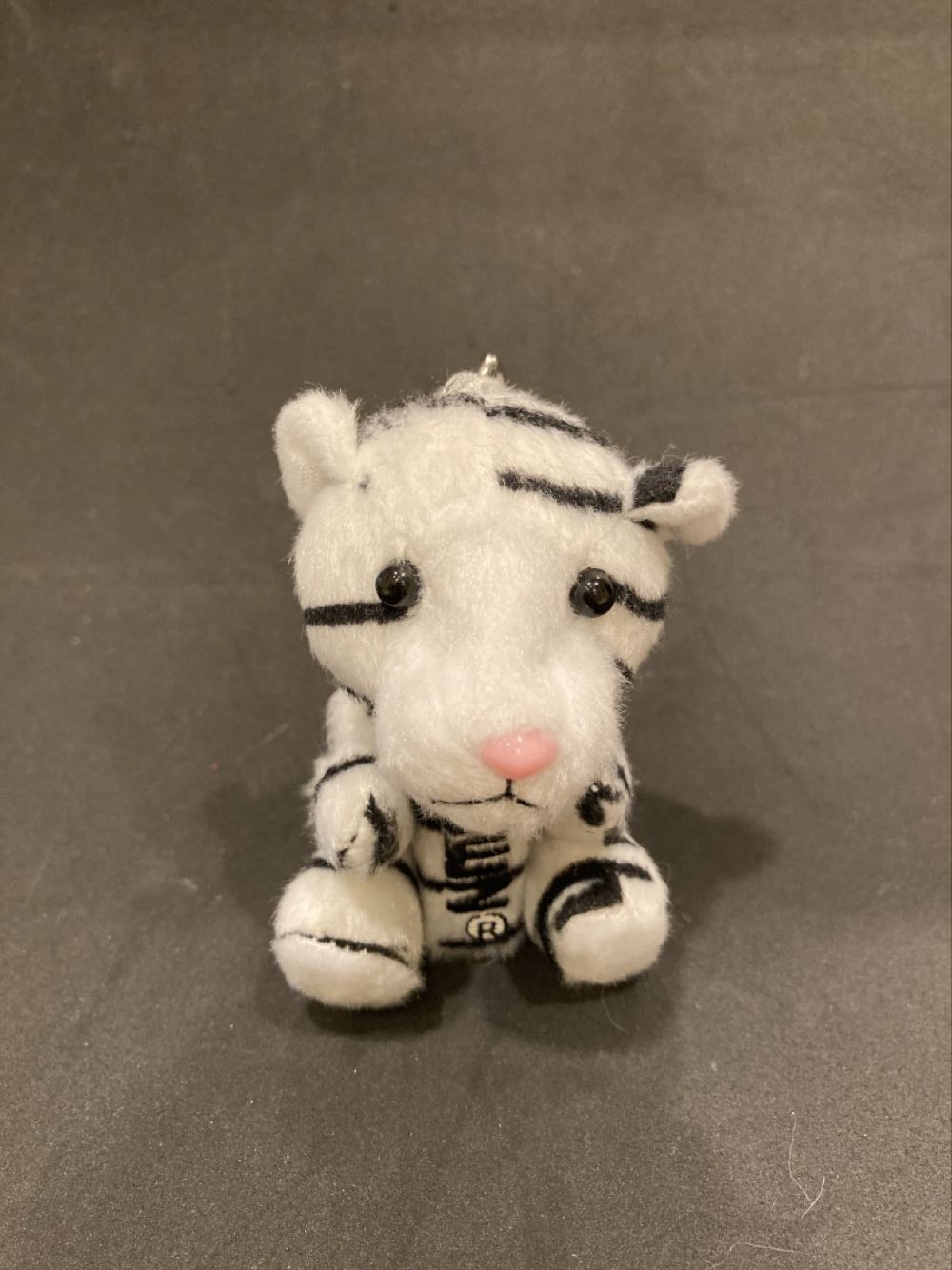 Looney Tunes Tasmanian Devil - Cycling Taz