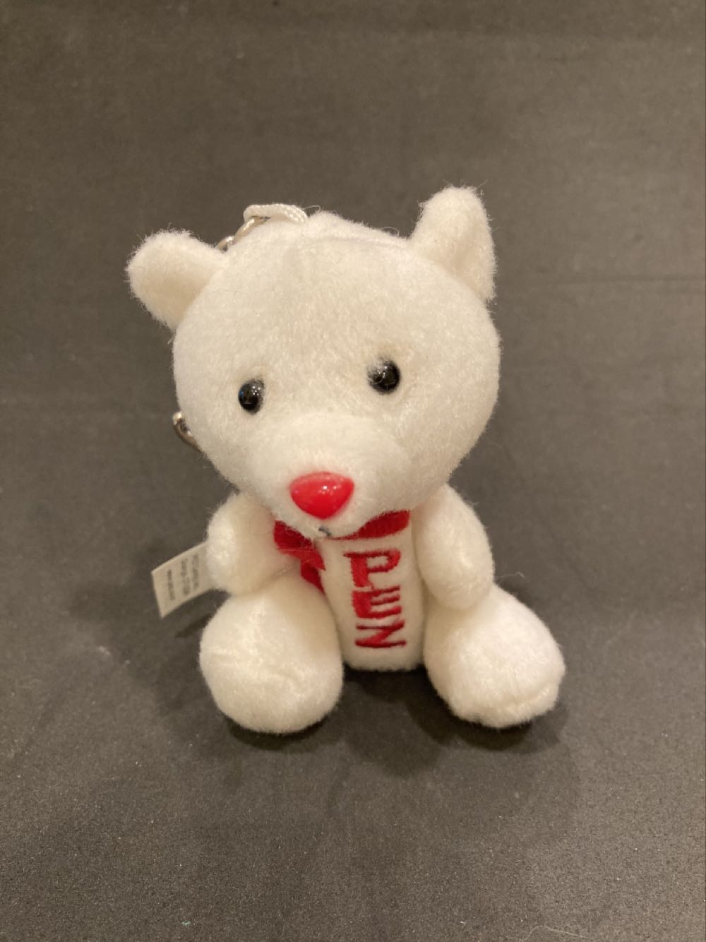 Looney Tunes Sam With Pattern