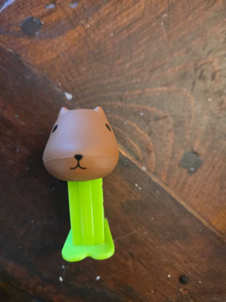 Michaelangelo Angry Purple Stem