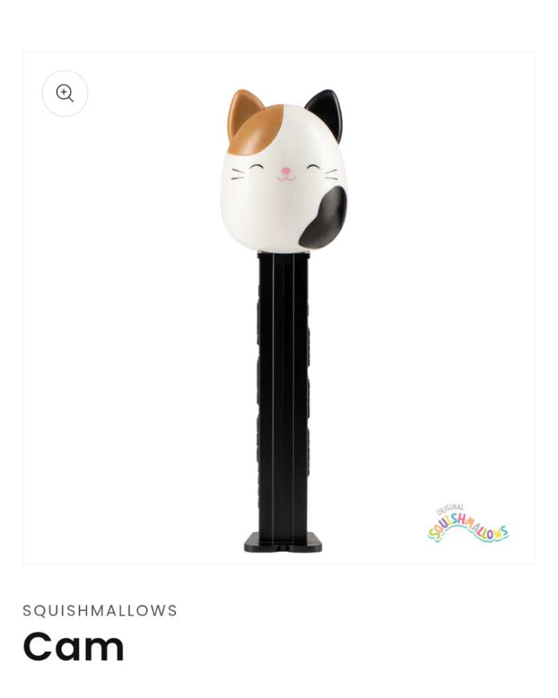 Dream Works Spirit Riding Free