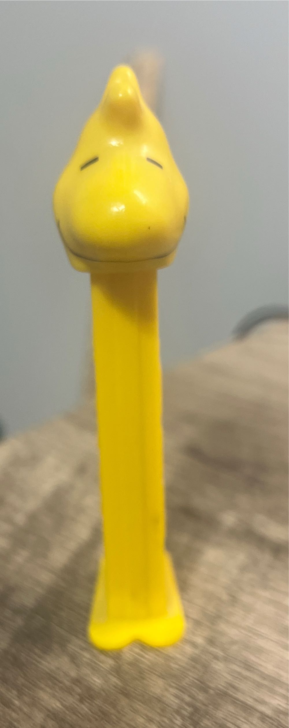 Politics/Government - Bundesrat Boy