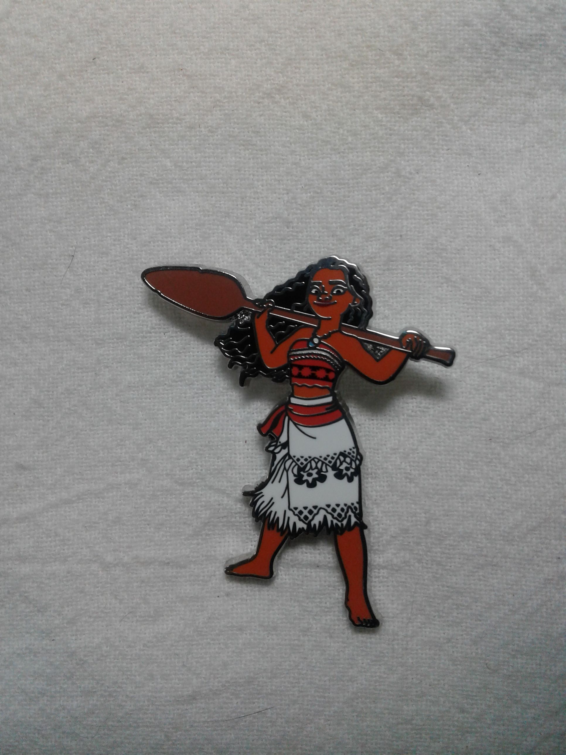 20 Years Flower And Garden 2013