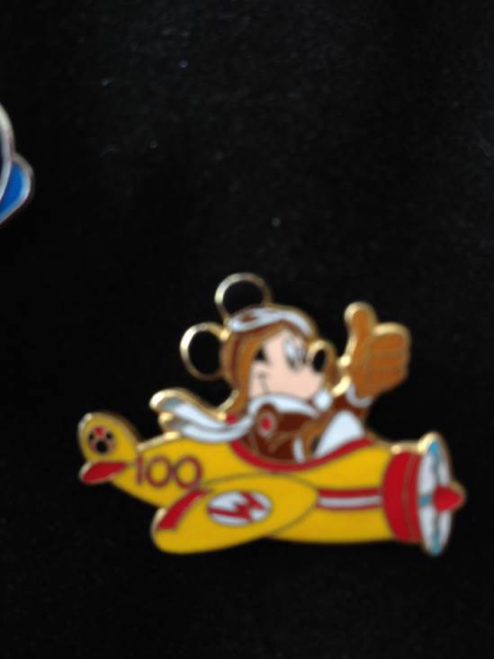 Flower And Garden Festival Donald Chip & Dale