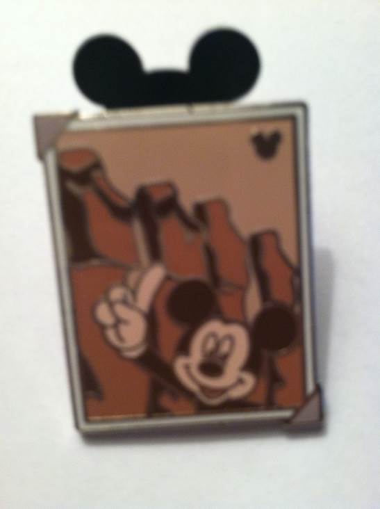 Princess Flower Series - Cinderella