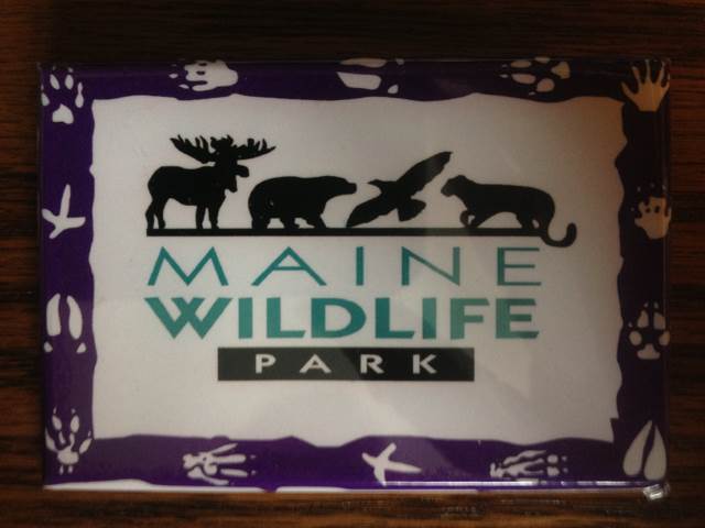 Epcot Flower And Garden Festival 2012- Tink