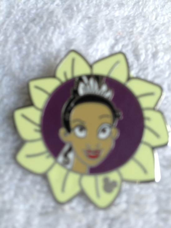 More Magic 2013 Annual Pass Set/5