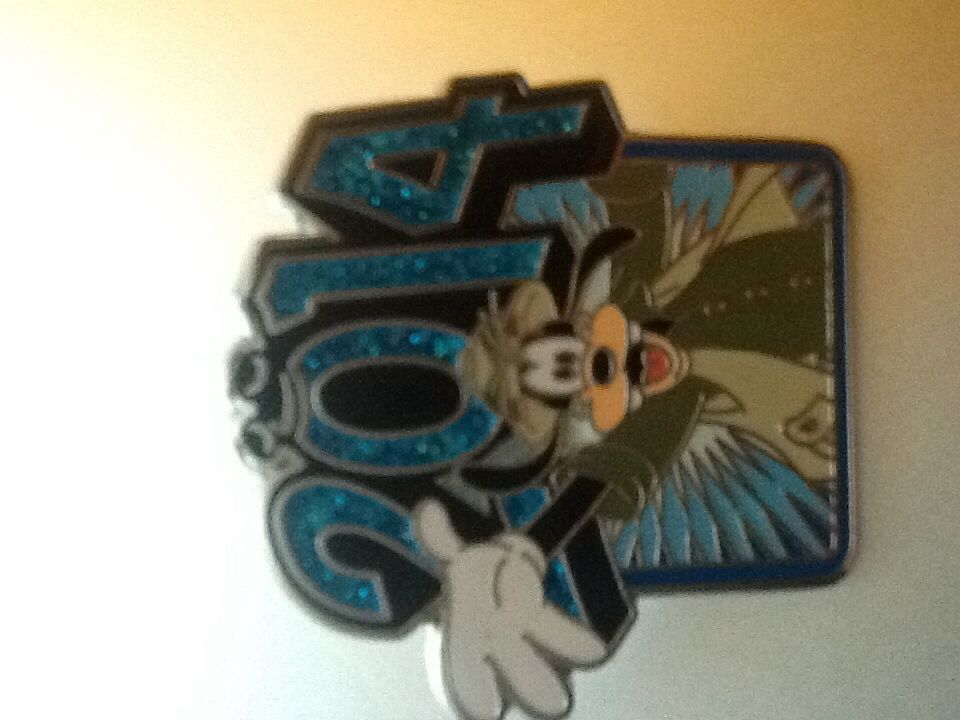 Hooters 20th Anniversary Staff Pin