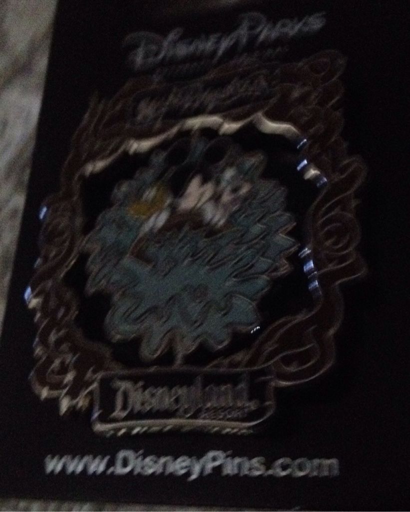 animal kingdom lodge