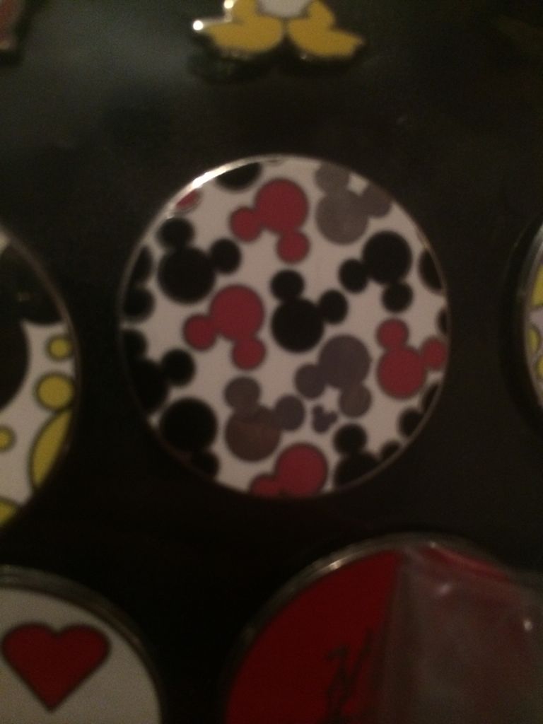 Walt Disney World Survey Marker 2008