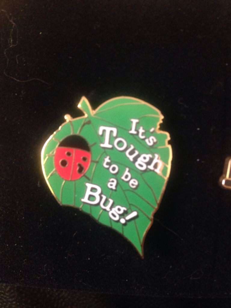 Deluxe Pin Starter Set Tinker Bell