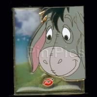 Disney visa Pin 2014