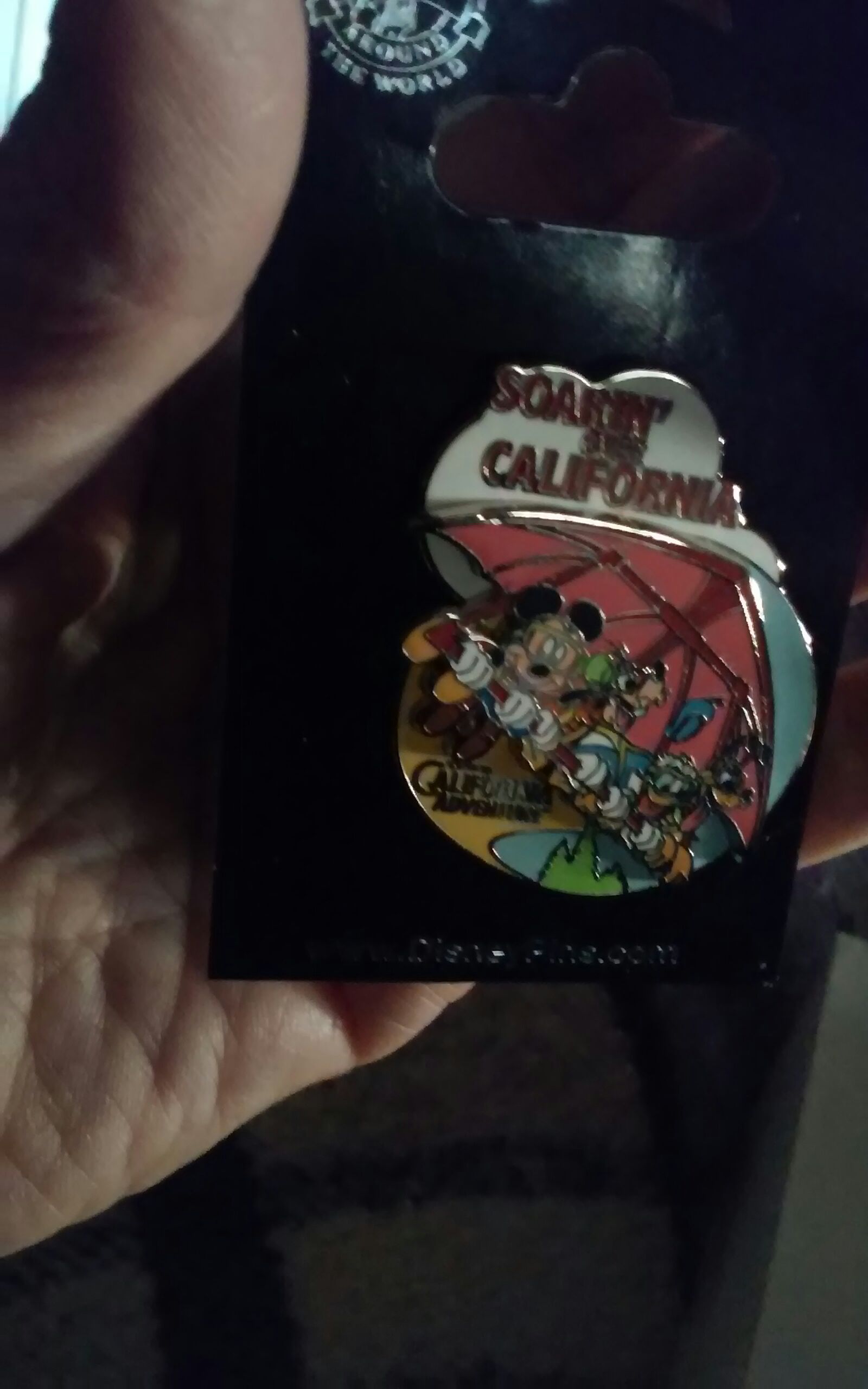 2008 Food And Wine Mickey And Minnie