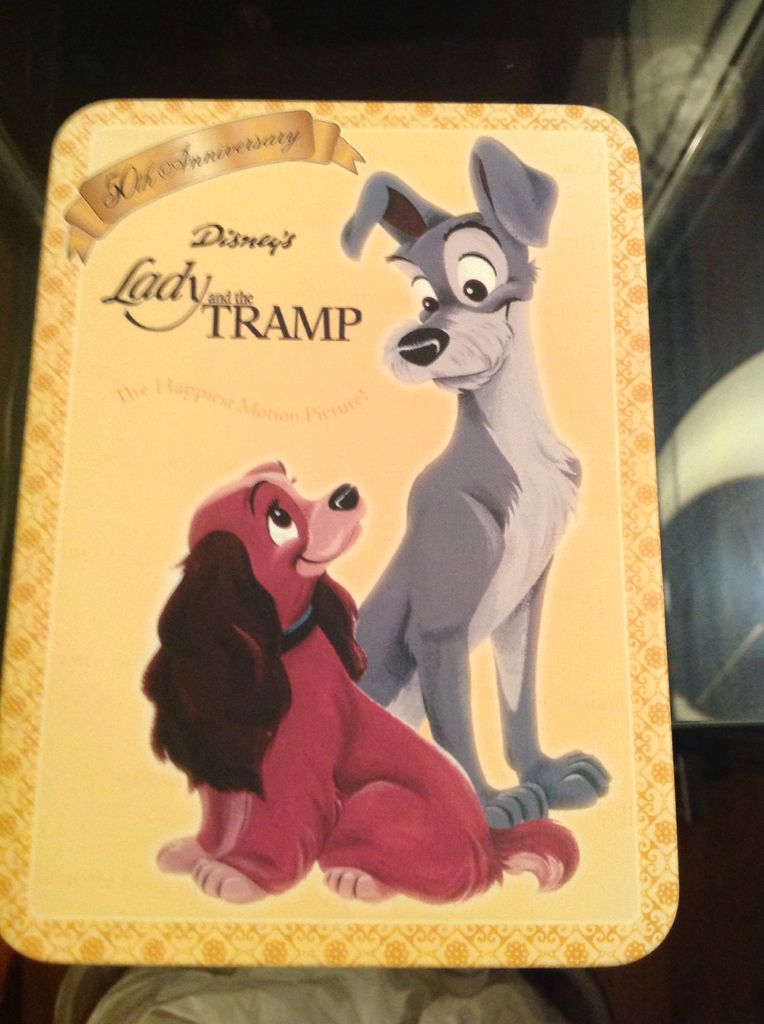 Expedition Everest - I Conquered Everest