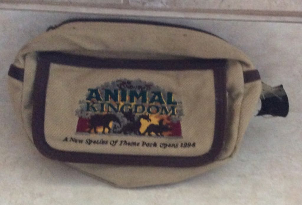 Disney Cruise Line - PWP 2012 - Mickey and Minnie Mouse