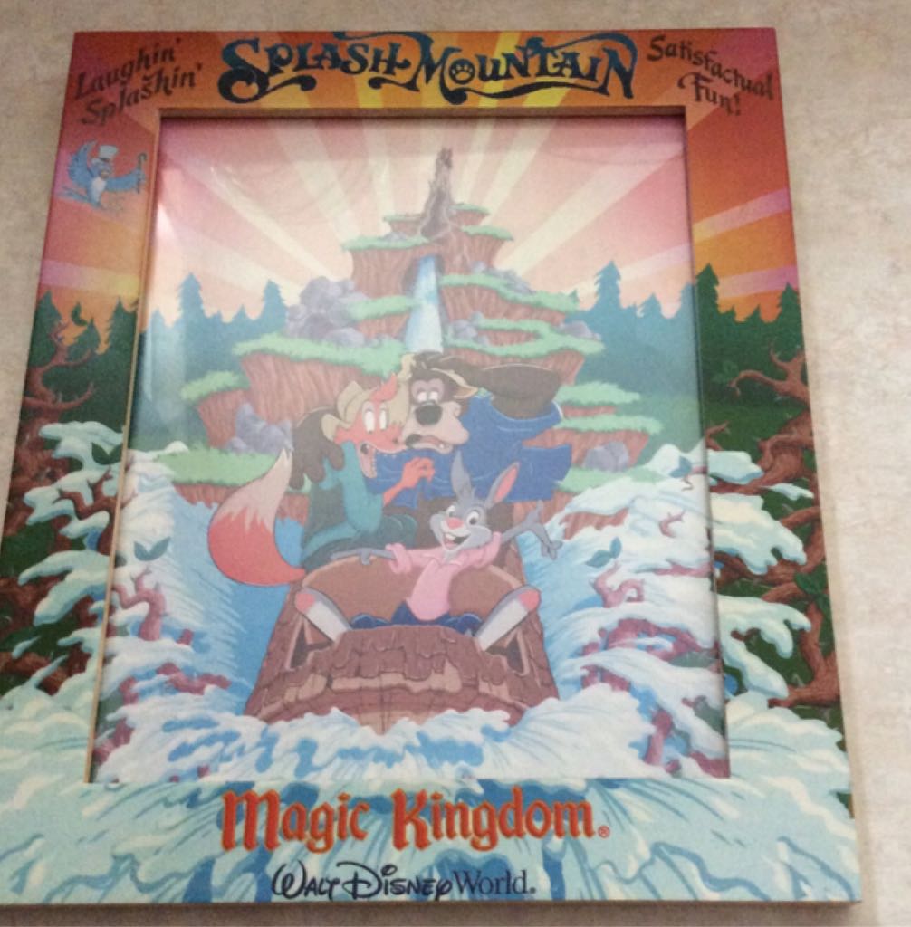 ZZ- Picture Splash Mountain 8x10  pin collectible - Main Image 1