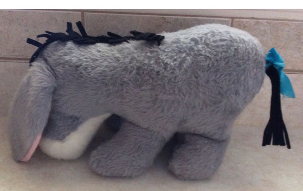 Disneyland Where Dreams Come True