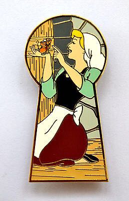 DLR - Annual Passholder Pin Trading Pin
