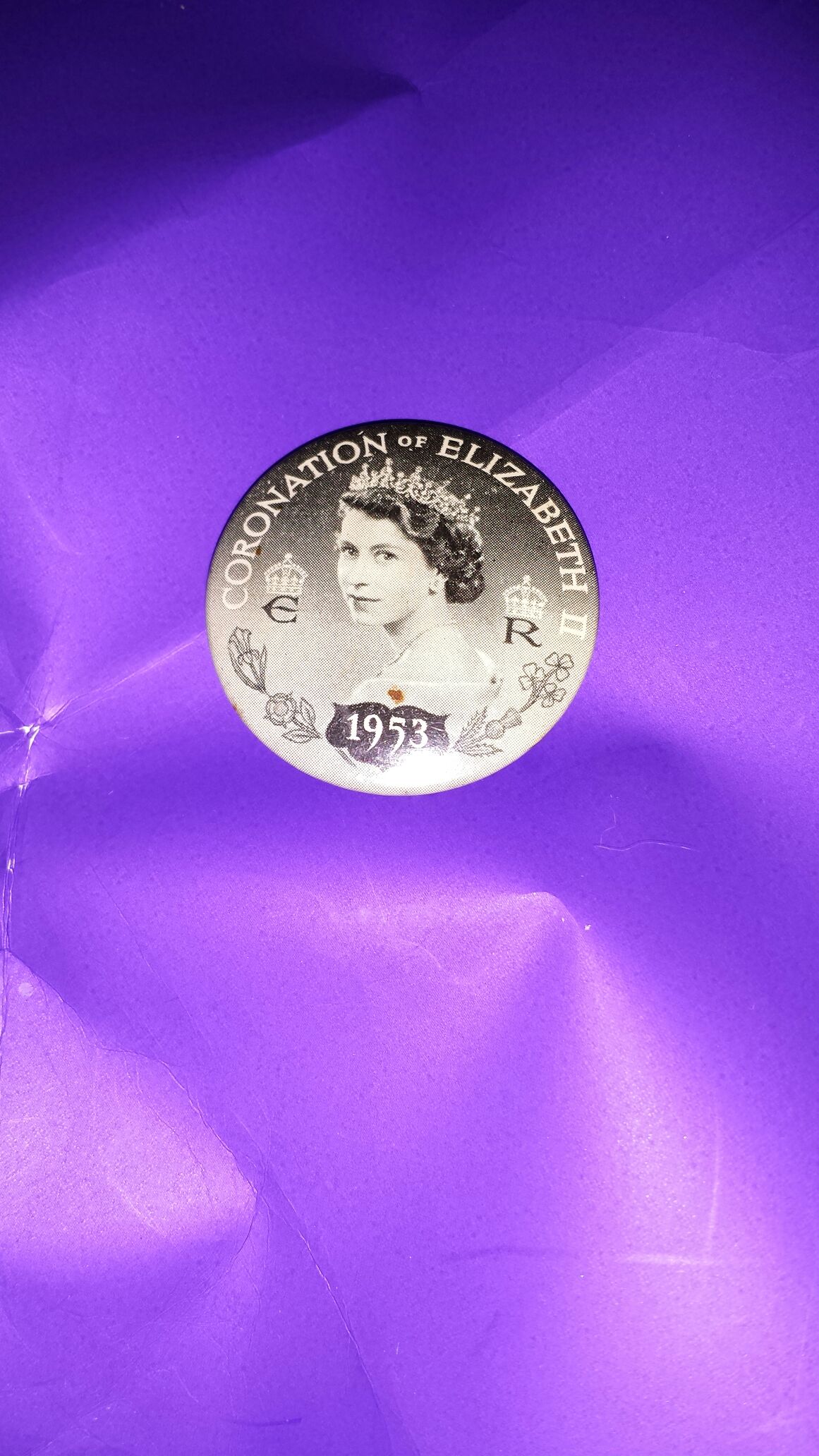 WDW - Attraction Posters - Jungle Cruise