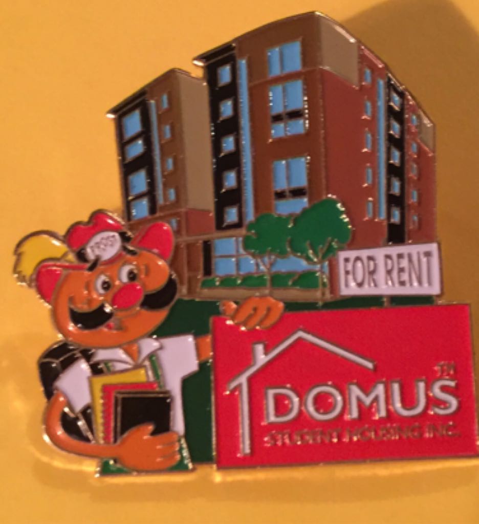 Pirate Pooh, Piglet, And Tigger