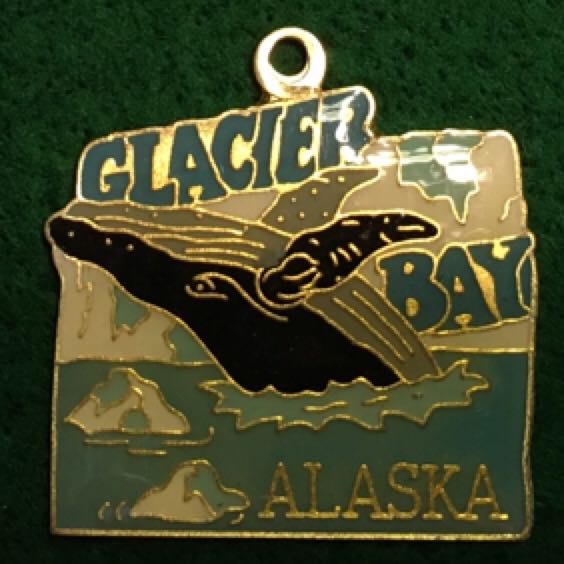 Glacier Bay N.P.  pin collectible - Main Image 1