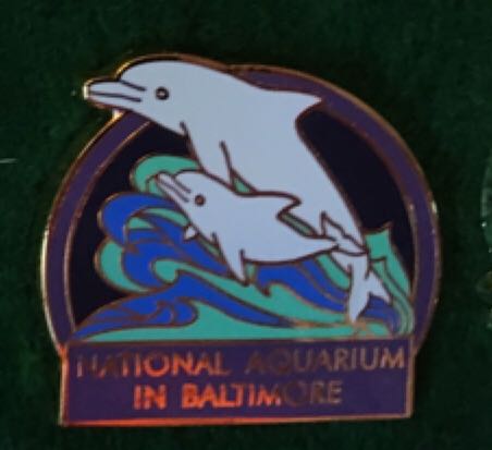 Chicago Hard Rock Cafe Guitar