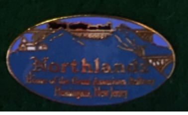 WDW - Where Magic Lives - Sorcerer's Hat - Hinged Stained Glass