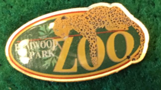 Rockin Roller Coaster