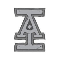 Disneyland Ticket: C