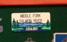 WDW - Flower & Garden Festival 2016 - Sorcerer Mickey