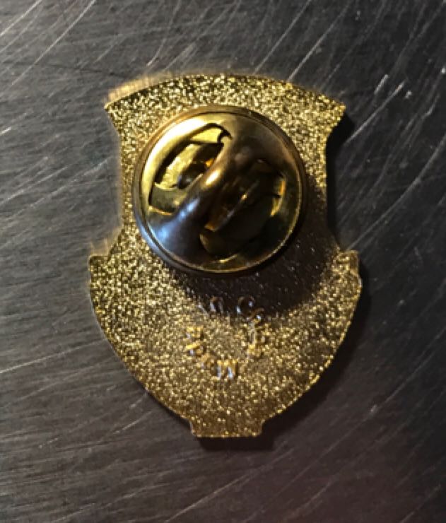 Duquesne University - Pin pin collectible - Main Image 2