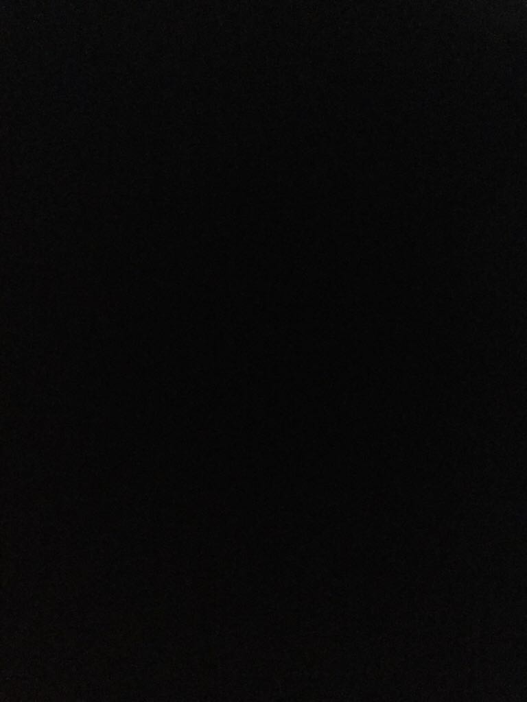 ZZ- Tote Tigger Is That You New Animal Kingdom