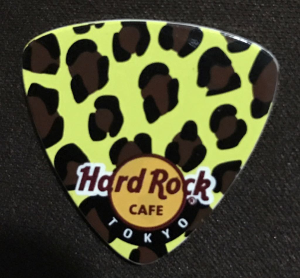 Harley Davidson, Seminole, Sanford, FL