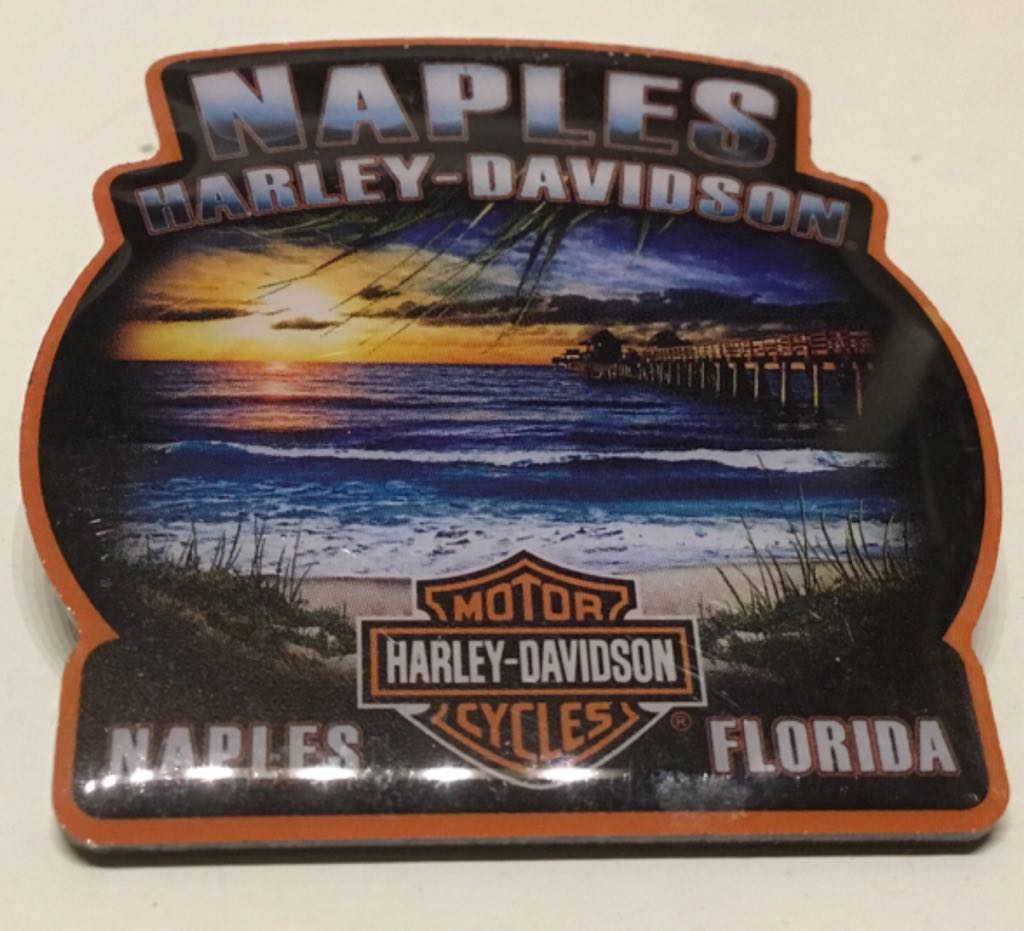 Mickey & Minnie Castle-Walt Disney Travel