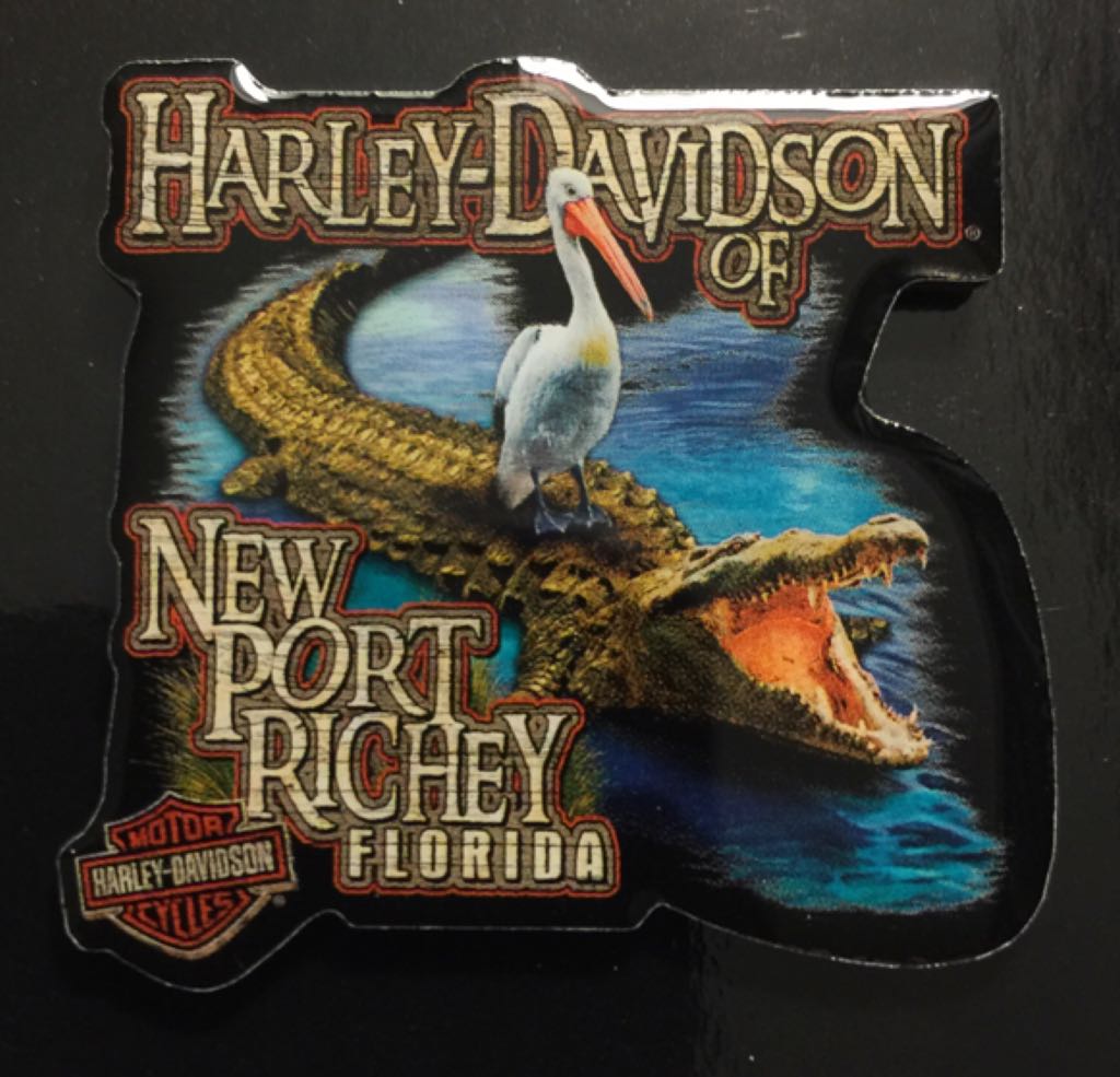 Pokémon: Mega Latios