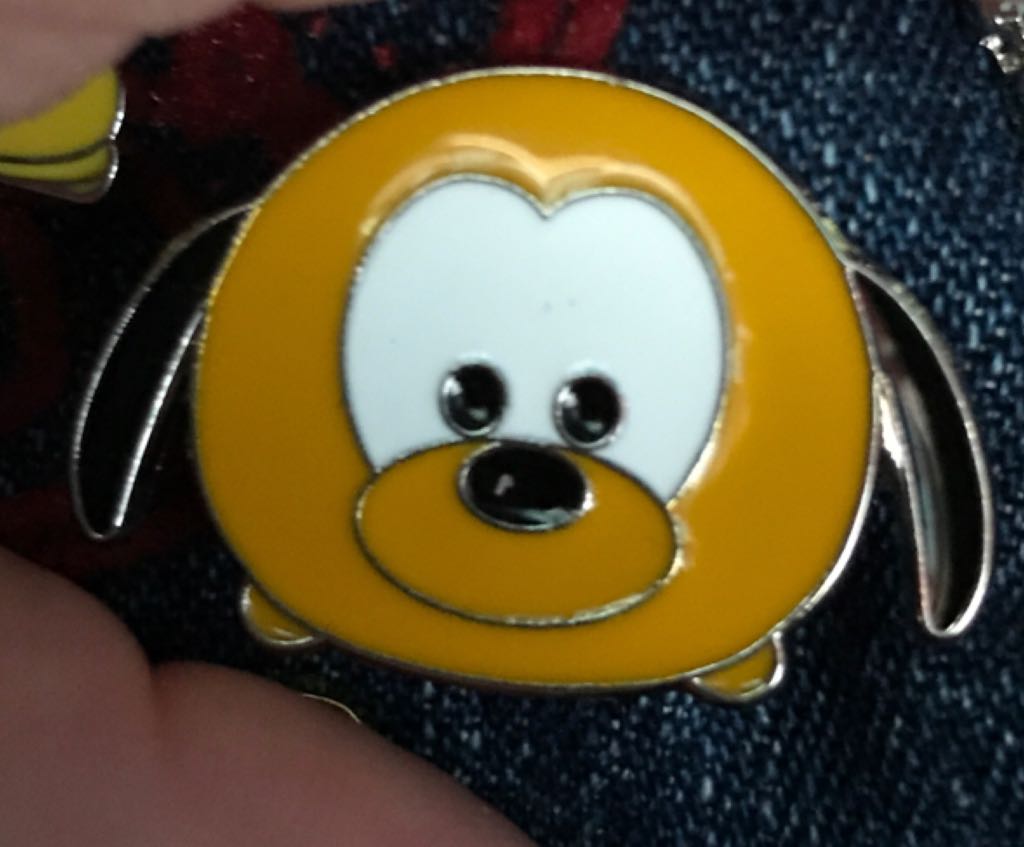 Soarin California Pilot Wings-Ashley