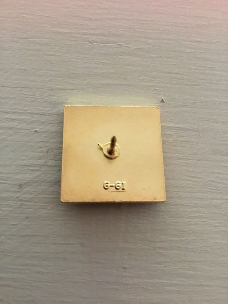 Marine Corps Civilian Pin  pin collectible - Main Image 2